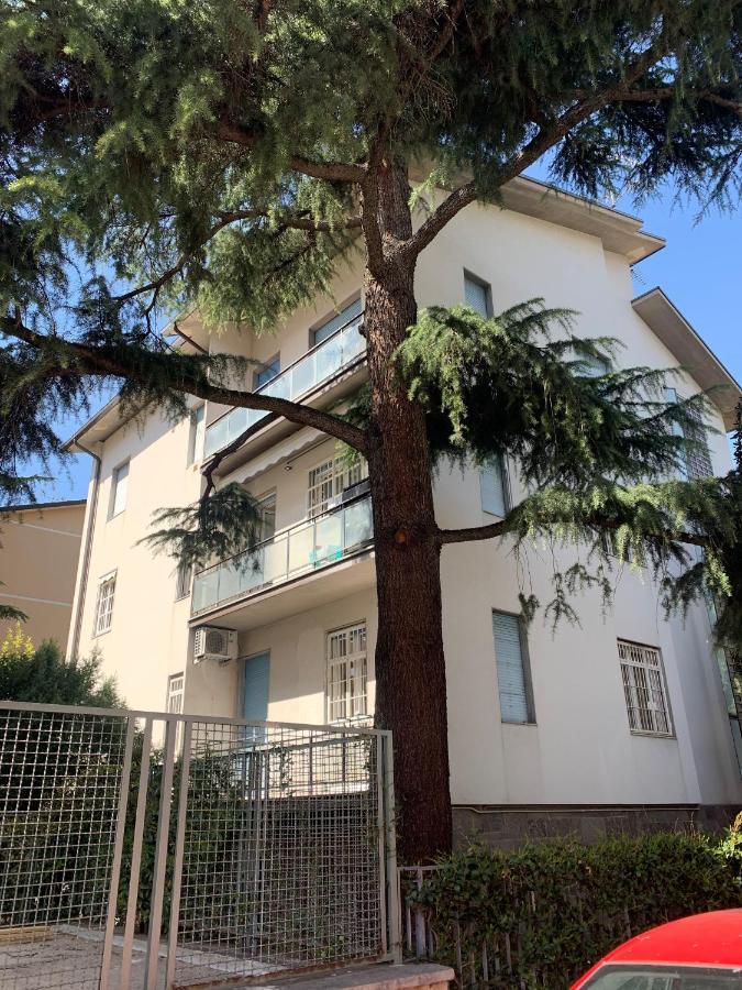 Ghisello Luxury Guesthouse 1 Bologna Eksteriør billede